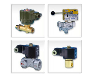 Combustion / Fuel Valves